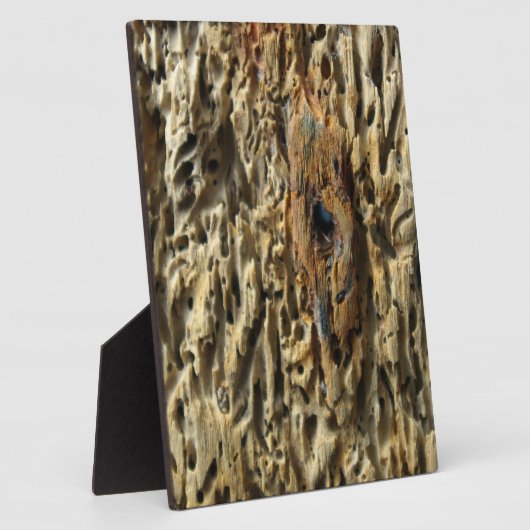 流木 フォトプラーク (側面)