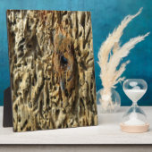 流木 フォトプラーク (側面)