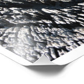 流木 フォトプリント            (角)