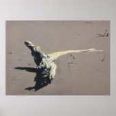 流木 ポスター (正面)