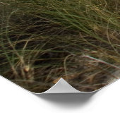 流木 ポスター (角)