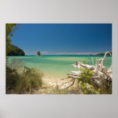 流木 ポスター (正面)