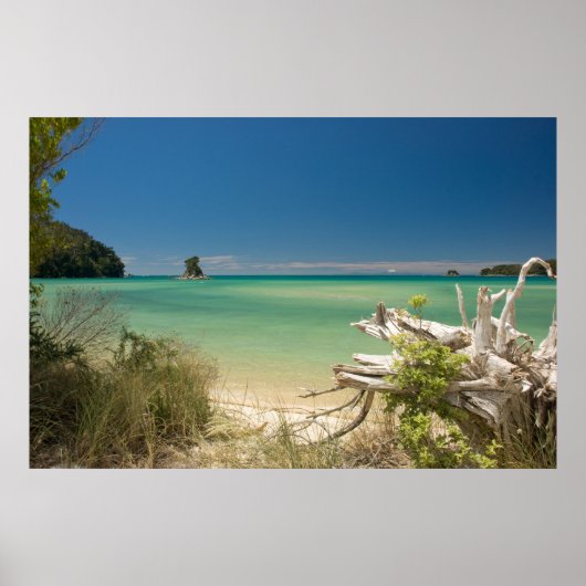 流木 ポスター (正面)