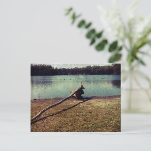 流木 ポストカード (スタンド正面)