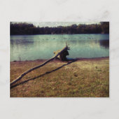 流木 ポストカード (正面)