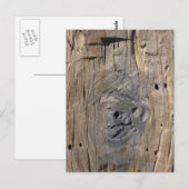 流木 ポストカード (正面/裏面)