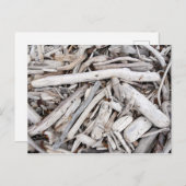 流木 ポストカード (正面/裏面)