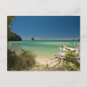 流木 ポストカード (正面)