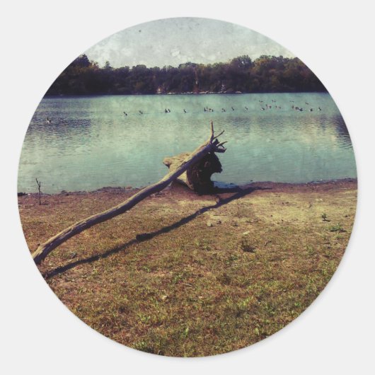 流木 ラウンドシール (正面)