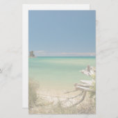 流木 便箋 (正面/裏面)