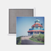 流木、山磁石 マグネット (正面/裏面)
