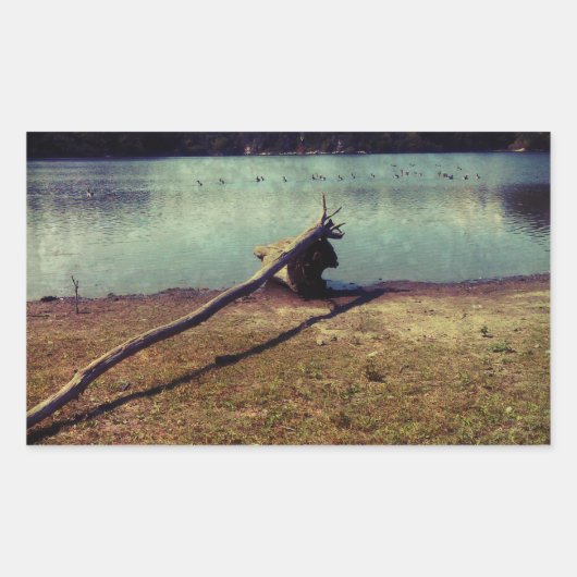 流木 長方形シール (正面)