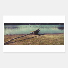 流木 長方形シール