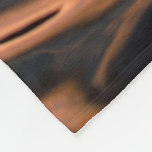 流水のコマ撮り写真 フリースブランケット (角)