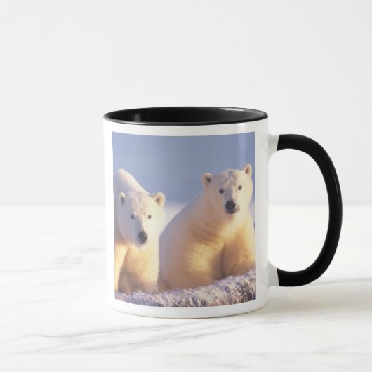 流氷上の雌のホッキョクグマと子グマ マグカップ (右)