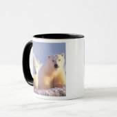 流氷上の雌のホッキョクグマと子グマ マグカップ (正面左)