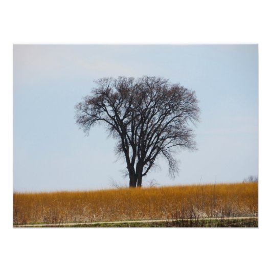 「流血で育った」写真プリント フォトプリント            (正面)