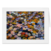 「流静かれ」 (正面横)