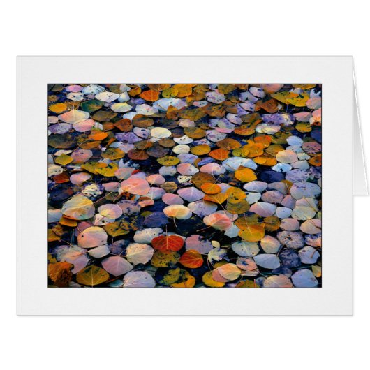 「流静かれ」 (正面横)