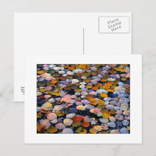 「流静かれ」 ポストカード (正面/裏面)