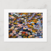 「流静かれ」 ポストカード (正面)