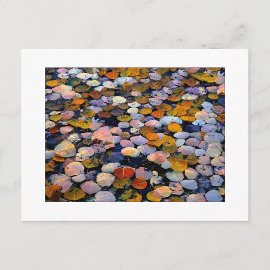 「流静かれ」 ポストカード (正面)