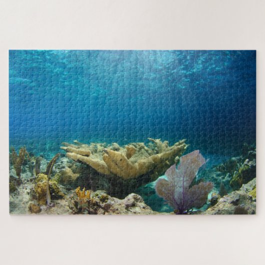 浅いサンゴ礁20"x30" ジグソーパズル (横)