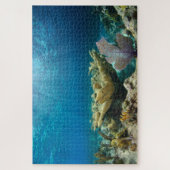 浅いサンゴ礁20"x30" ジグソーパズル (縦)