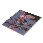 浅い水のウィレットとローズテスプーンビル タイル (側面)