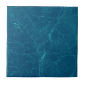 浅い海ブルータイル タイル (正面)