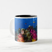 浅い礁、フィージーの柔らかい珊瑚 ツートーンマグカップ (正面左)