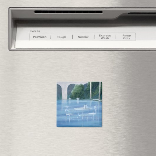 浅い終点 マグネット (インサイチュ (食洗機))