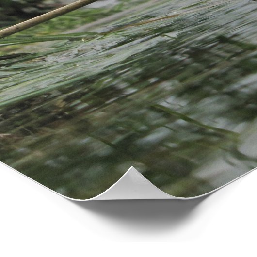 浅瀬の分岐 ポスター (角)