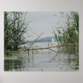 浅瀬の分岐 ポスター (正面)