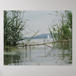 浅瀬の分岐 ポスター