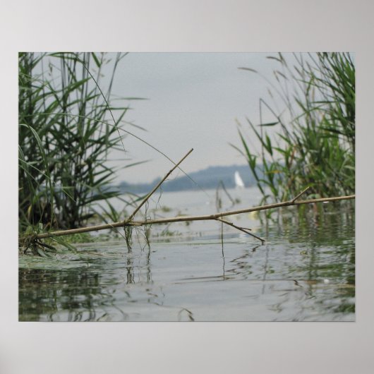 浅瀬の分岐 ポスター (正面)