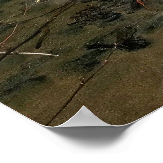 浅瀬 – Narcissist ポスター (角)