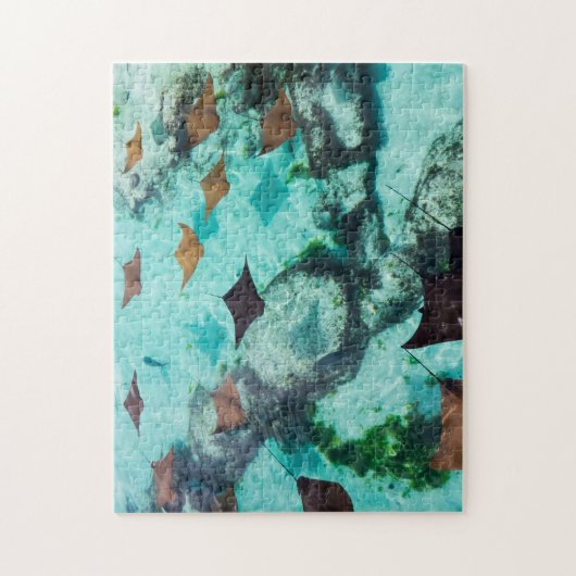 浅瀬 | Stingrays ジグソーパズル (縦)