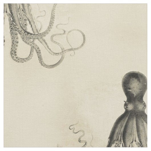 浜に引き上げられたタコ ファブリック (クローズアップ)