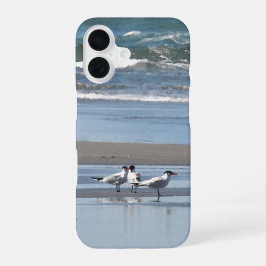浜辺の3羽のアジサシ iPhone 16ケース (裏面)