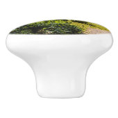 浜離宮庭園を散策 セラミックノブ (側面)