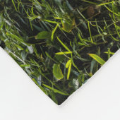 浜離宮庭園を散策 フリースブランケット (角)