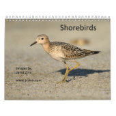 浜鳥のカレンダー カレンダー (カバー)