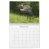 浜鳥- 2010年 カレンダー (2月 2026)