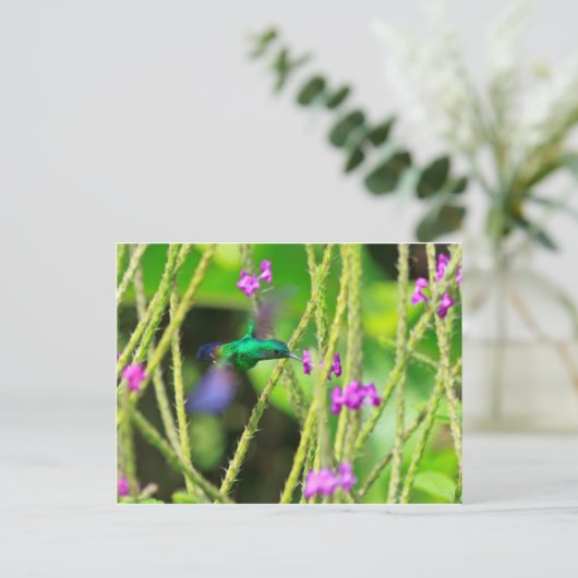 浮かぶハチドリの汚点 ポストカード (スタンド正面)