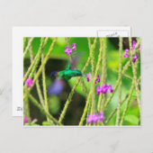 浮かぶハチドリの汚点 ポストカード (正面/裏面)