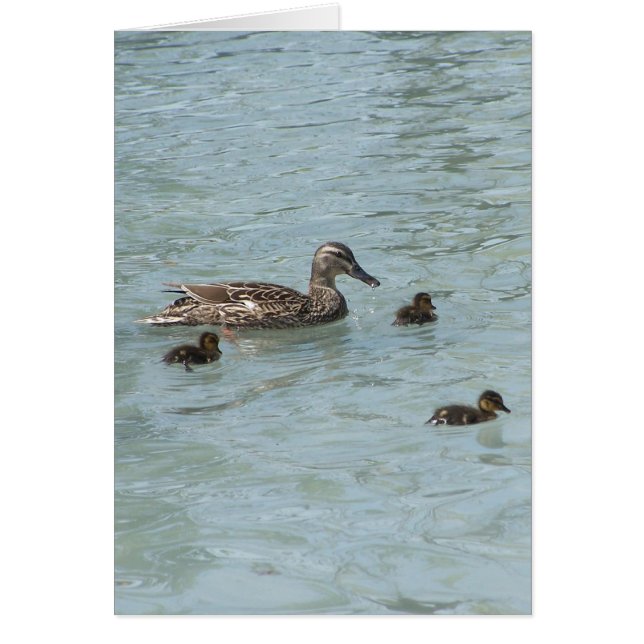 浮かぶ事 (正面)