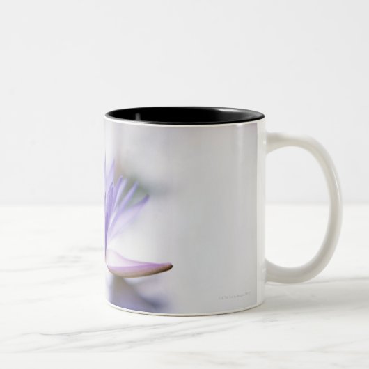 浮かんでいる紫色水ユリのクローズアップ ツートーンマグカップ (右)