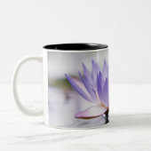 浮かんでいる紫色水ユリのクローズアップ ツートーンマグカップ (左)