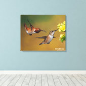 浮きハチドリ キャンバスプリント (インサイチュ (ウッドフロア))